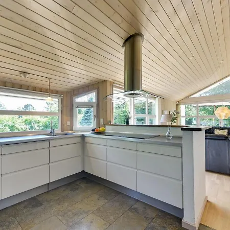 Mechthild - 2-7km From The Sea In Nw Jutland By Interhome Holiday home Saltum